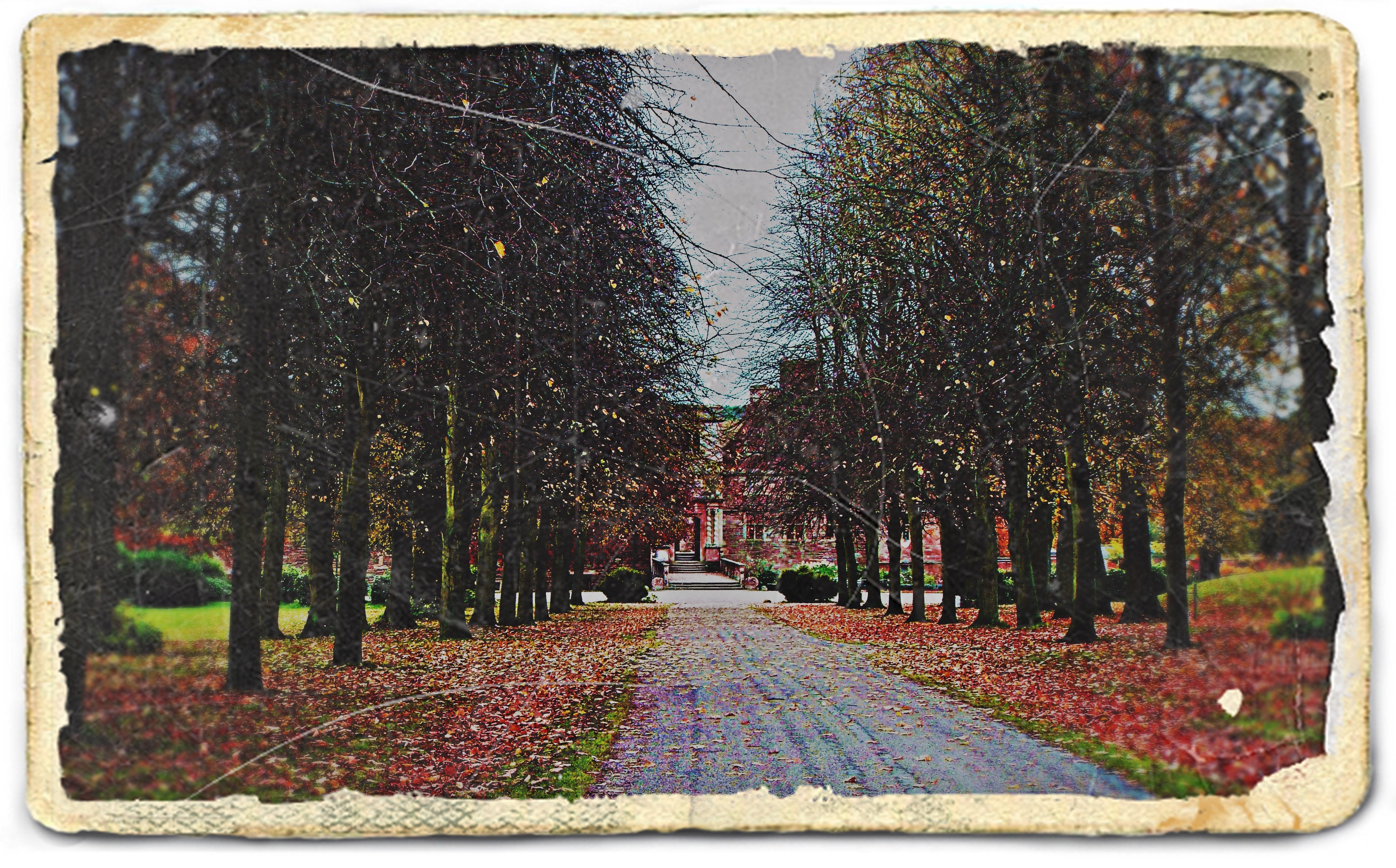 path to the abbey.JPG