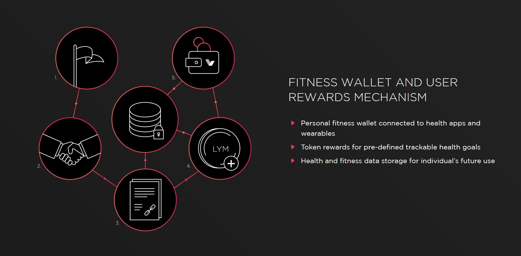 fitness wallet.jpg