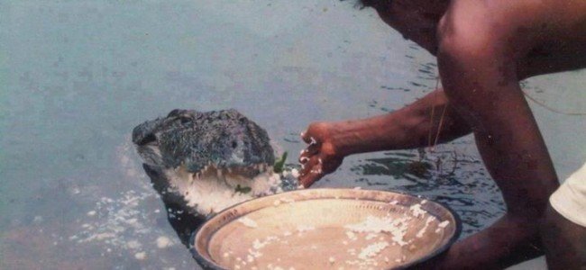 anantapur-crocodile-temple-Pic-1.jpg