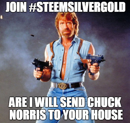 chucknorrismeme.png