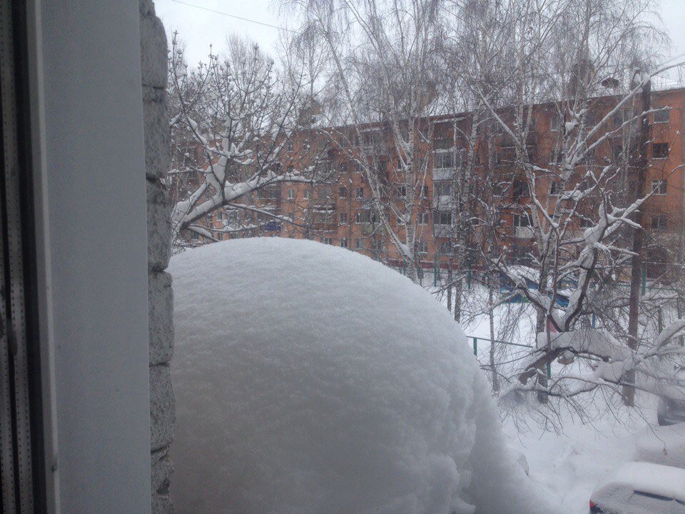 17 янв 20018.jpg