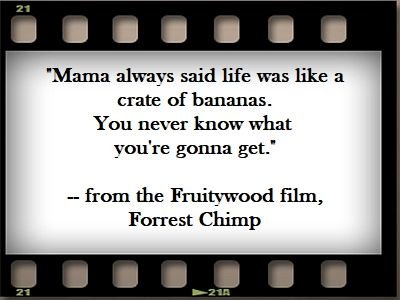 Forrest Chimp 400x300.jpg