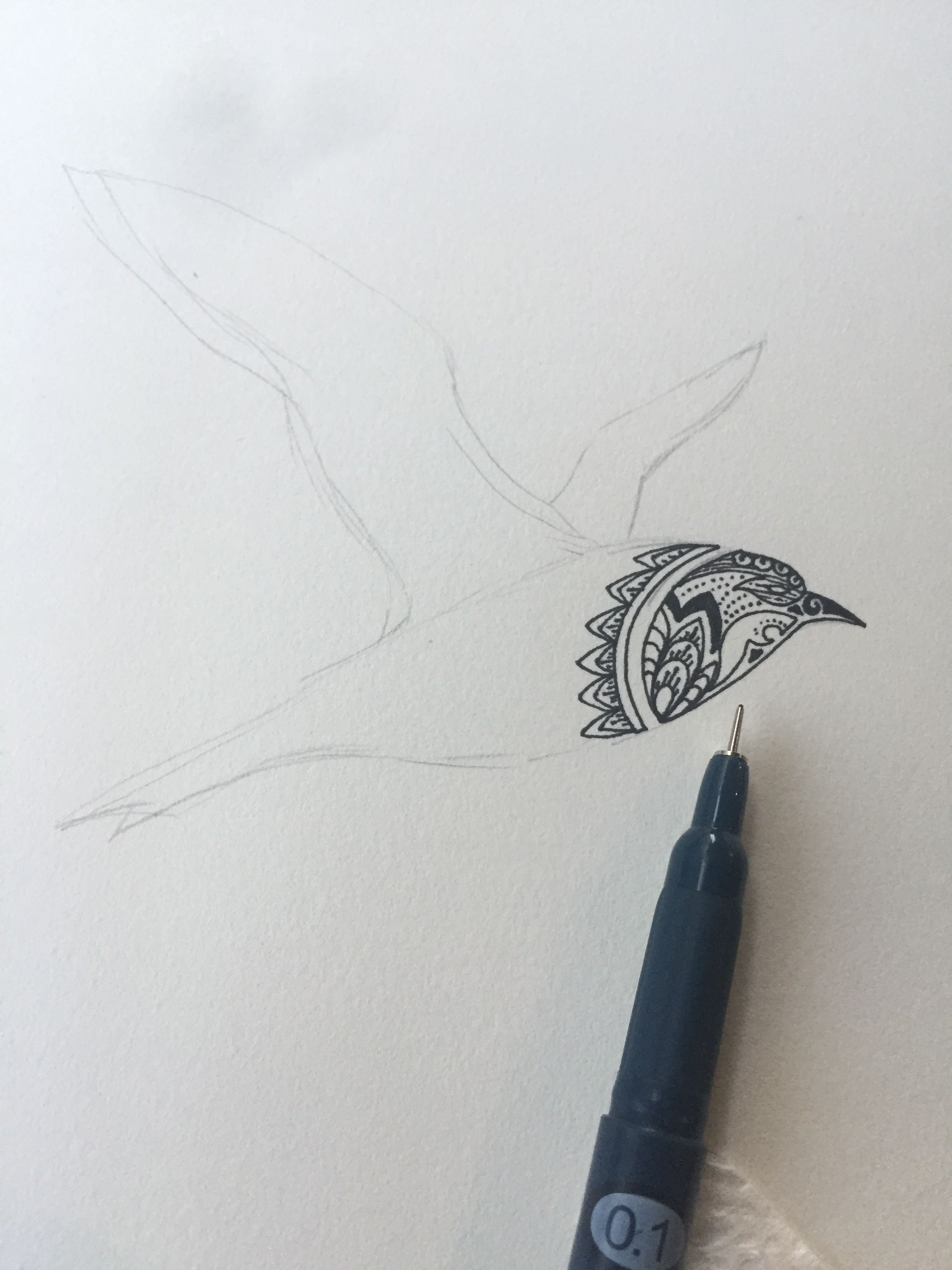 Orcheva Art Doodle Art Bird Fly Across The Sea Steemit