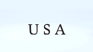 nsa.gif