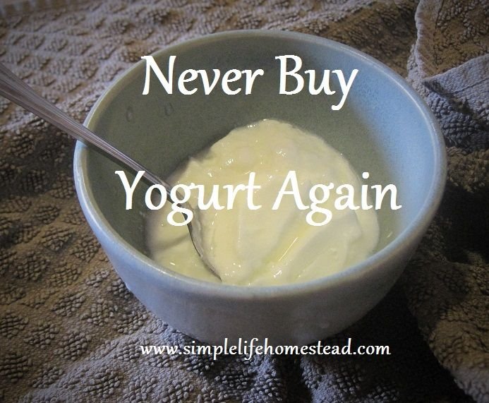 yogurt.jpg