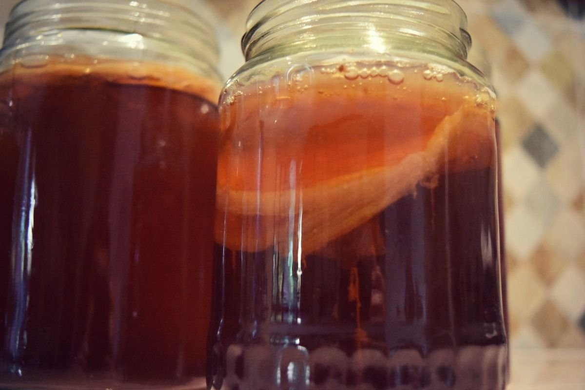 kombucha-tea-5.jpg