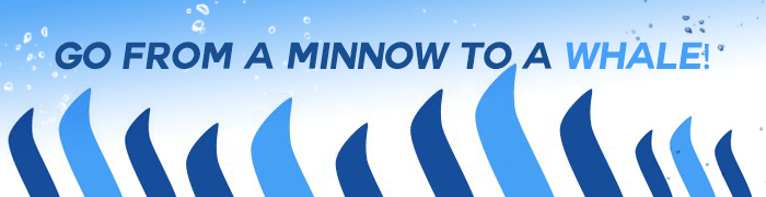 Minnow[1].gif