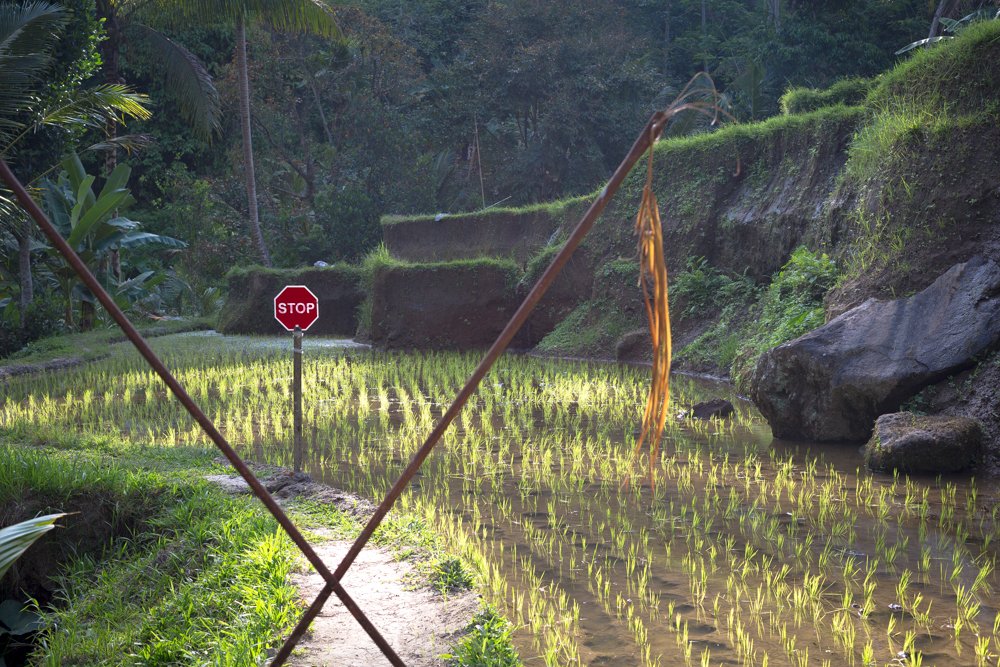 gunung kawui 14.jpg