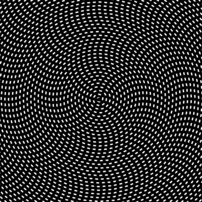 giphy-(9).gif