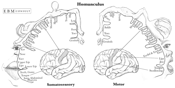 BodyMap.png