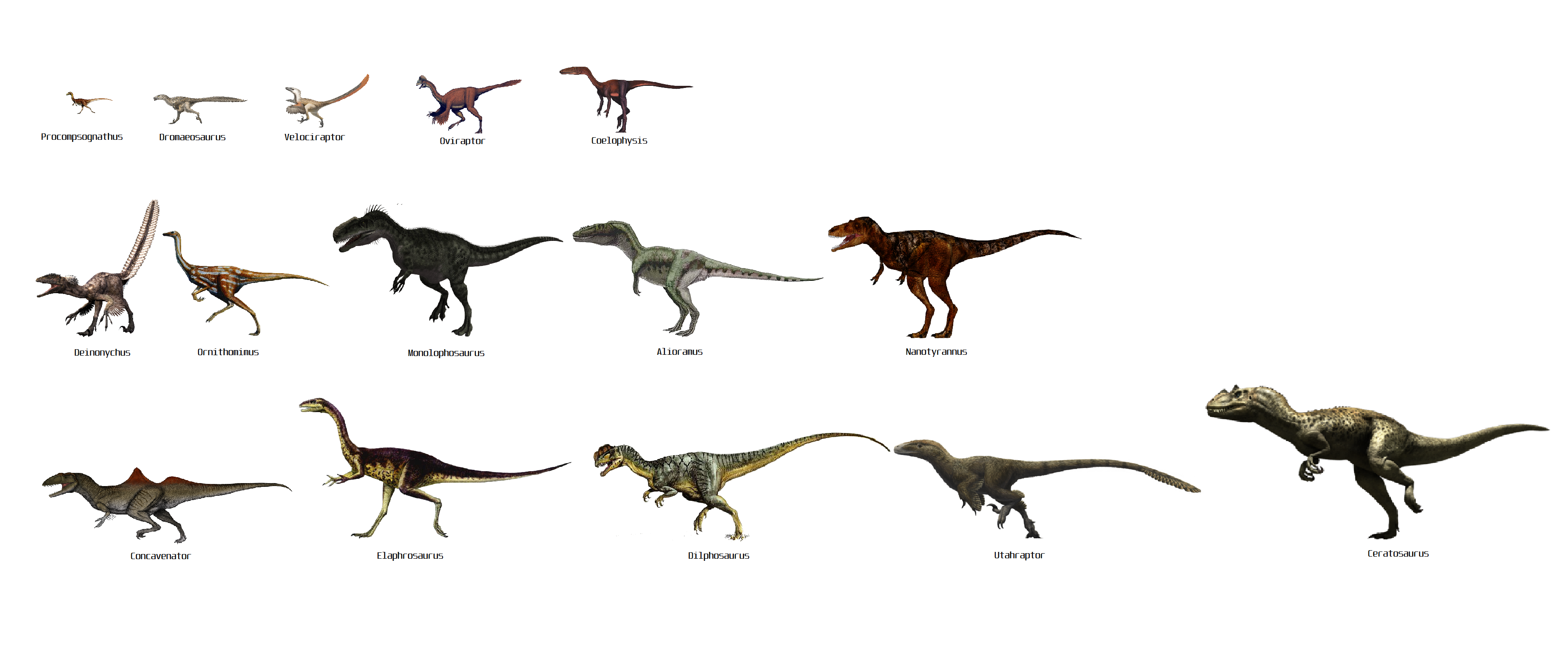 Size comparison of dinosaurs | Carnivorous Theropods