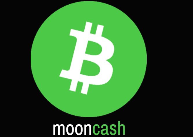 Earn Free Bitcoin Cah Trusted Bitcoin Cash Site - 