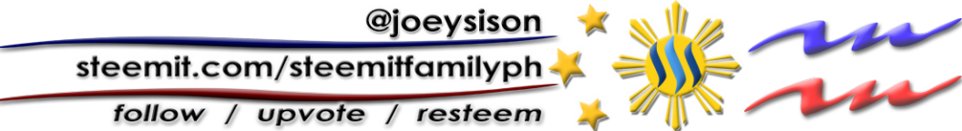 Joeysison.png