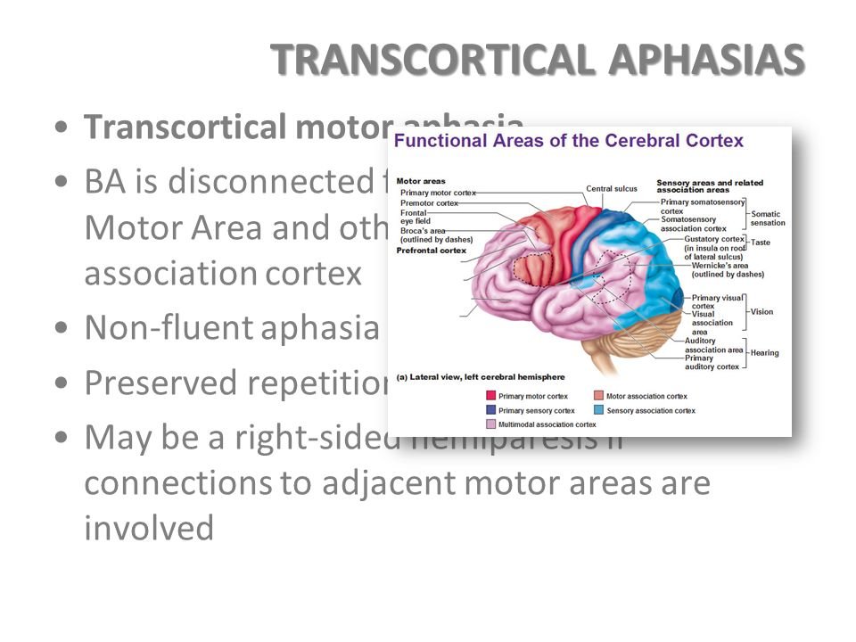 APHASIA, WHAT WE NEED TO KNOW ABOUT THIS DISORDER!!!