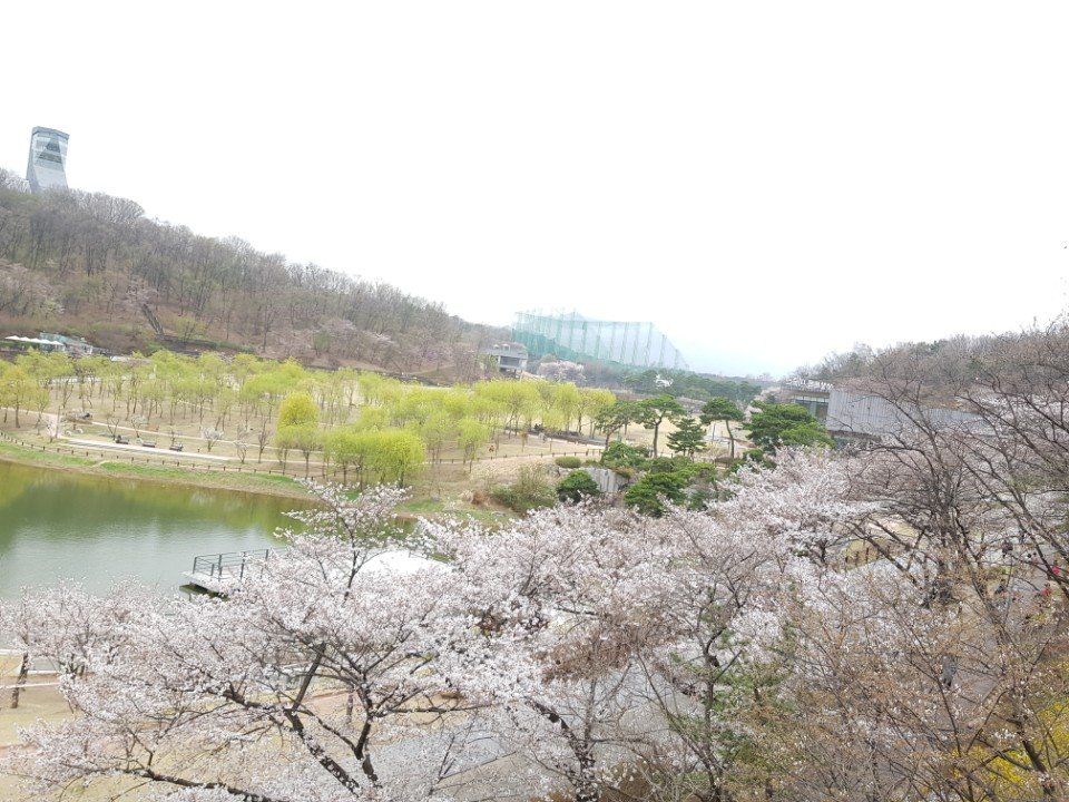 KakaoTalk_20180404_231245733.jpg