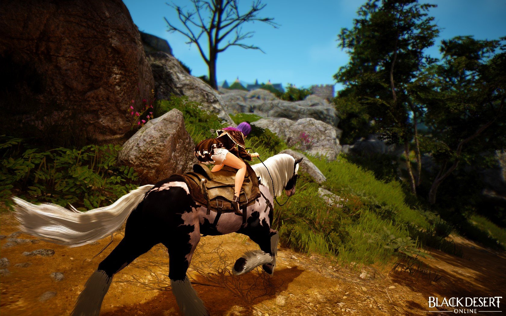 Black Desert Online game mmo