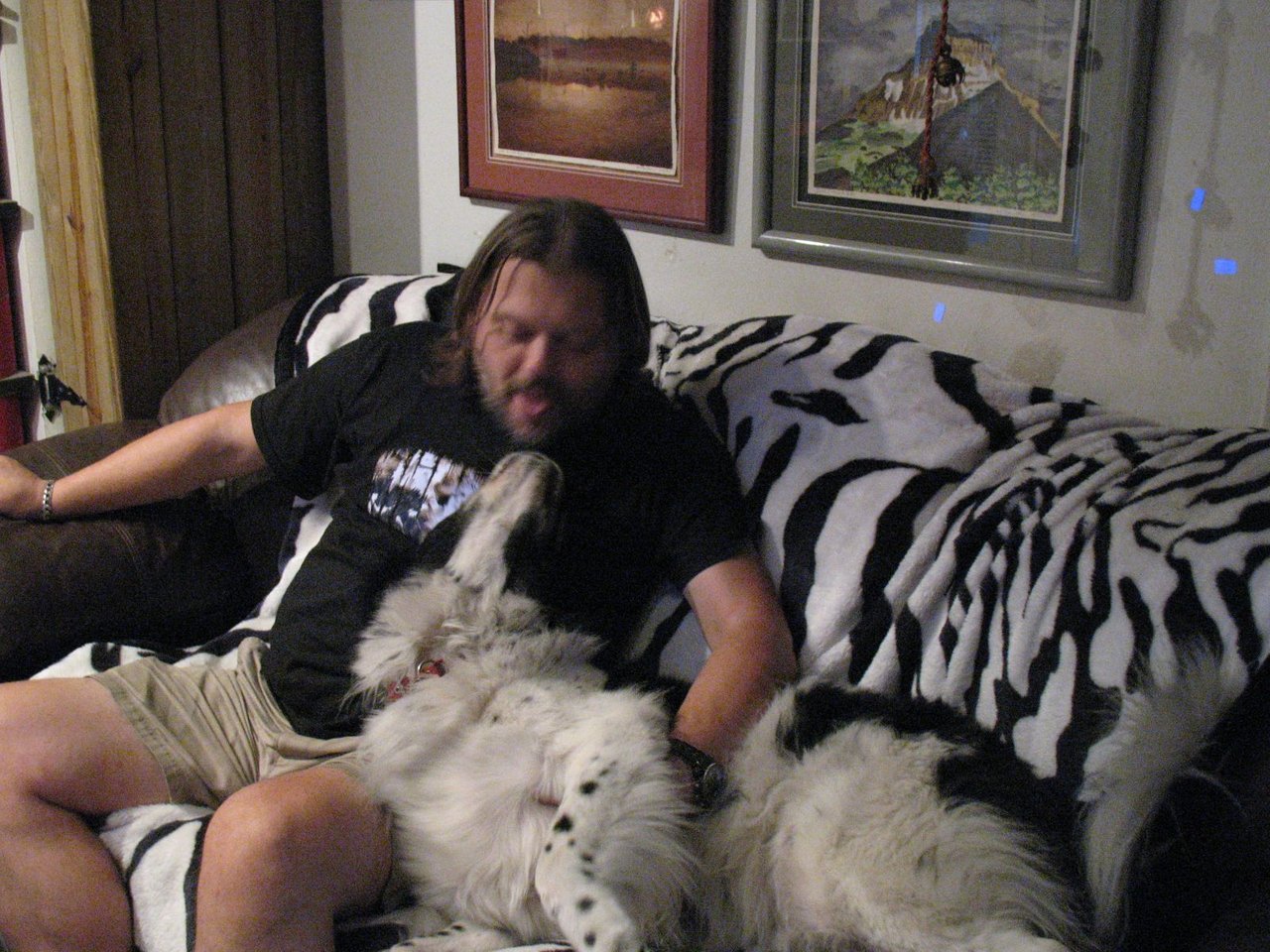 20101104 Why yes, I am a lap dog! 6955.jpg