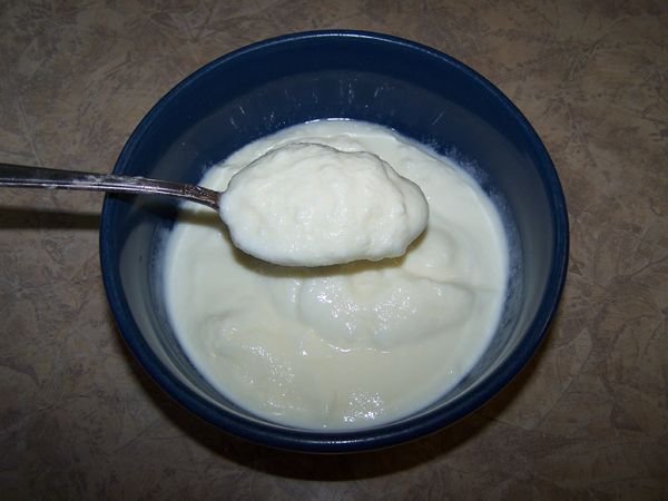 Bowl of yogurt - thick crop Dec. 2017.jpg