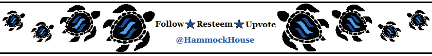 Hammockhouse-Breaker.png