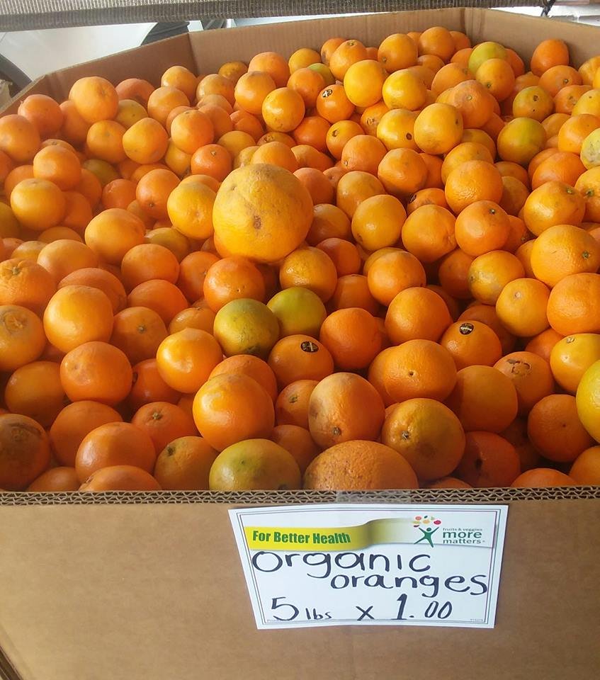 southern cali oranges for the win.jpg