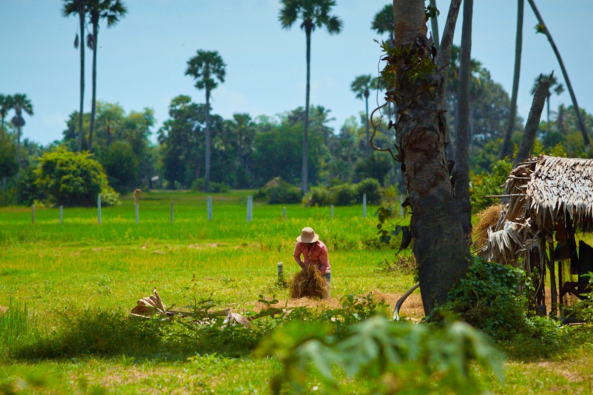 siem reap countriside 1.jpg