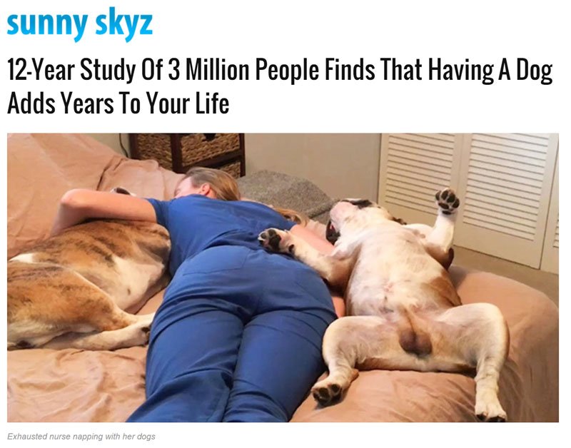 18-12-Year-Study-Of-3-Million-People-Finds-That-Having-A-Dog-Adds-Years-To-Your-Life.jpg