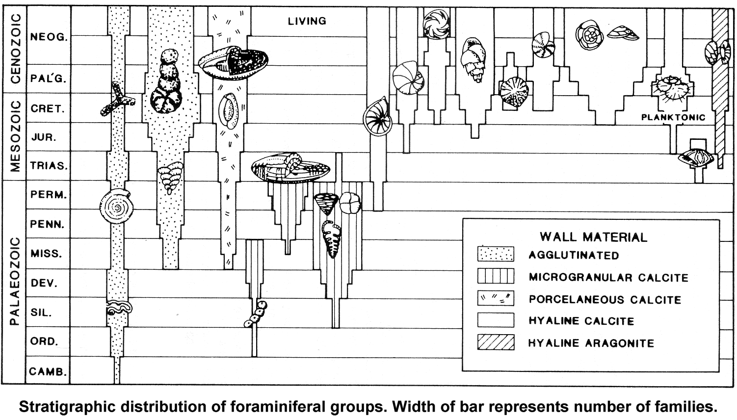 fossil83.gif