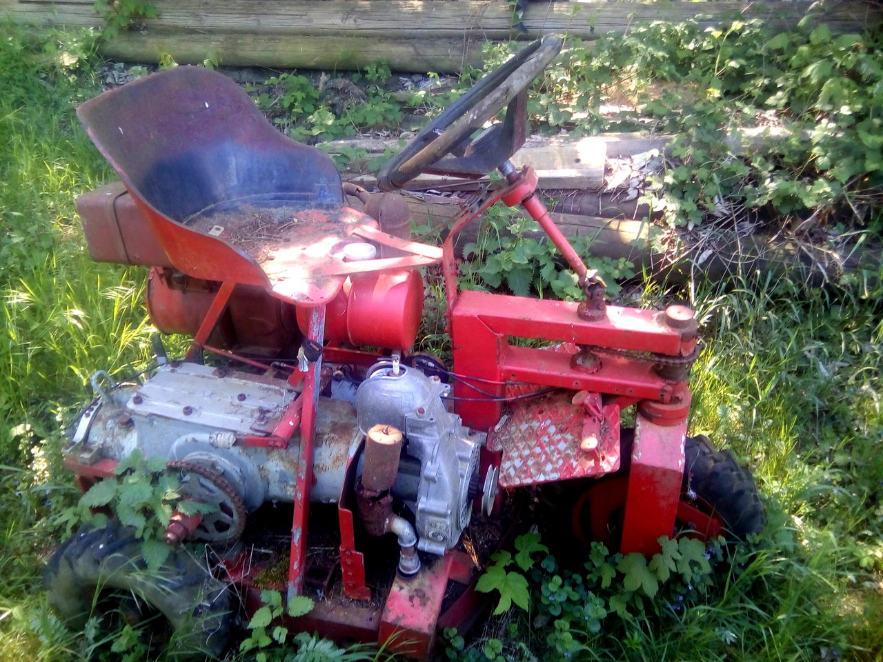 bild4.jpg