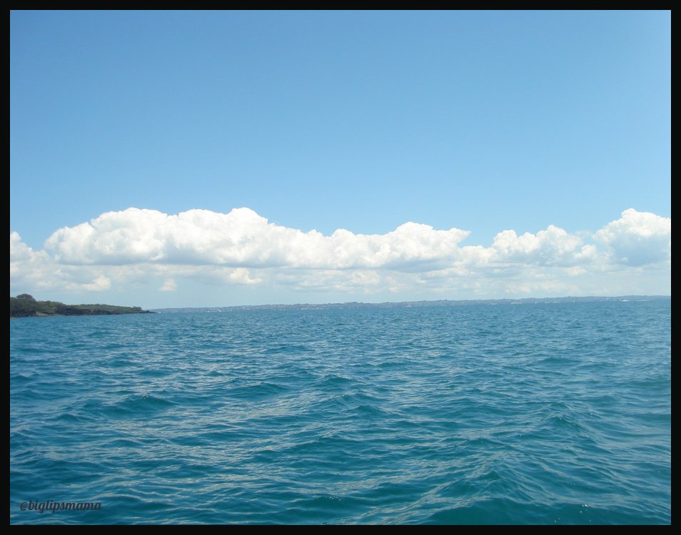 auckland sea8.jpg