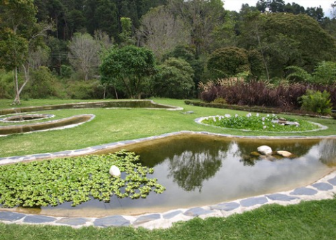Resultado de imagen de Jardín botánico de Mérida