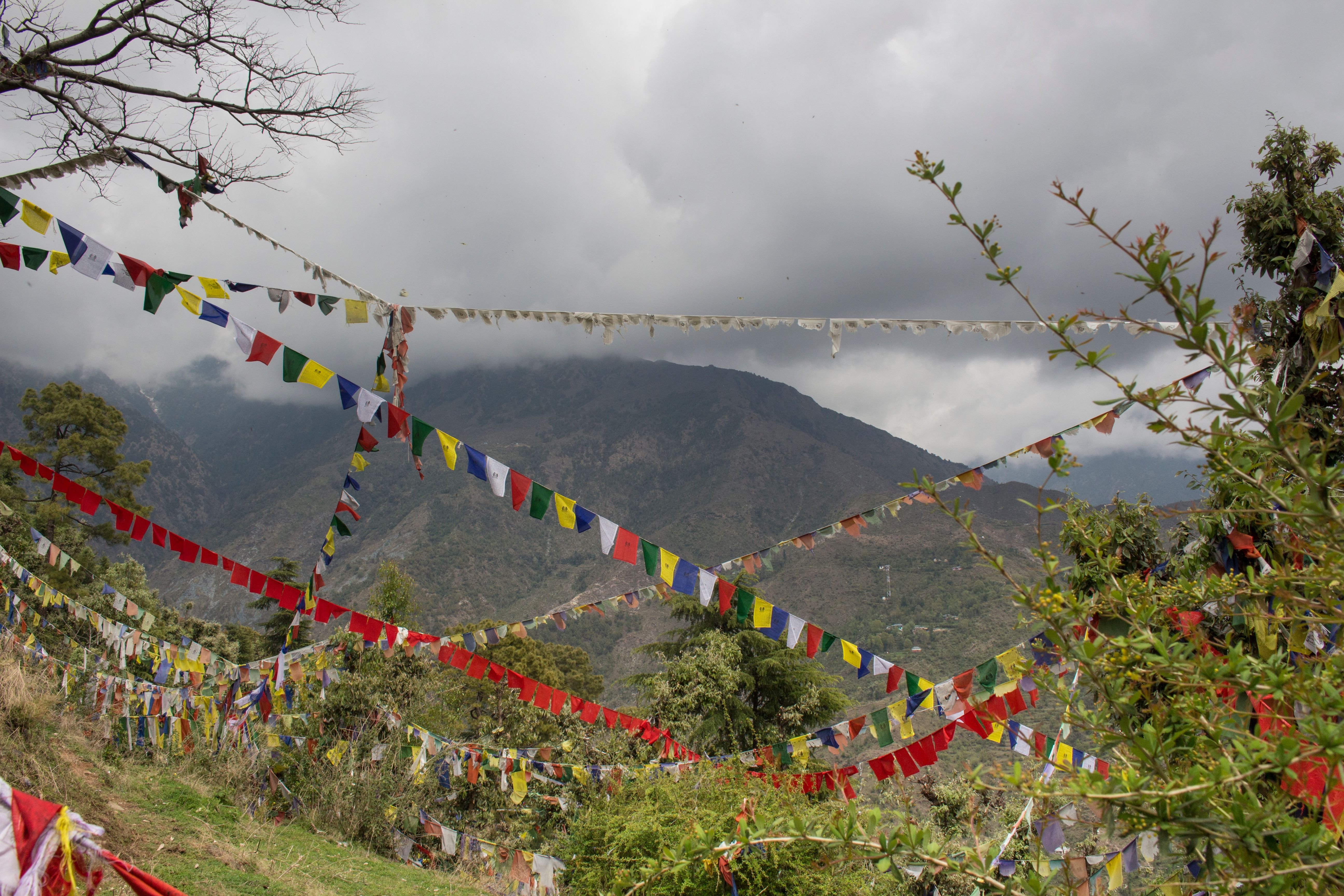 prayer flags.jpg