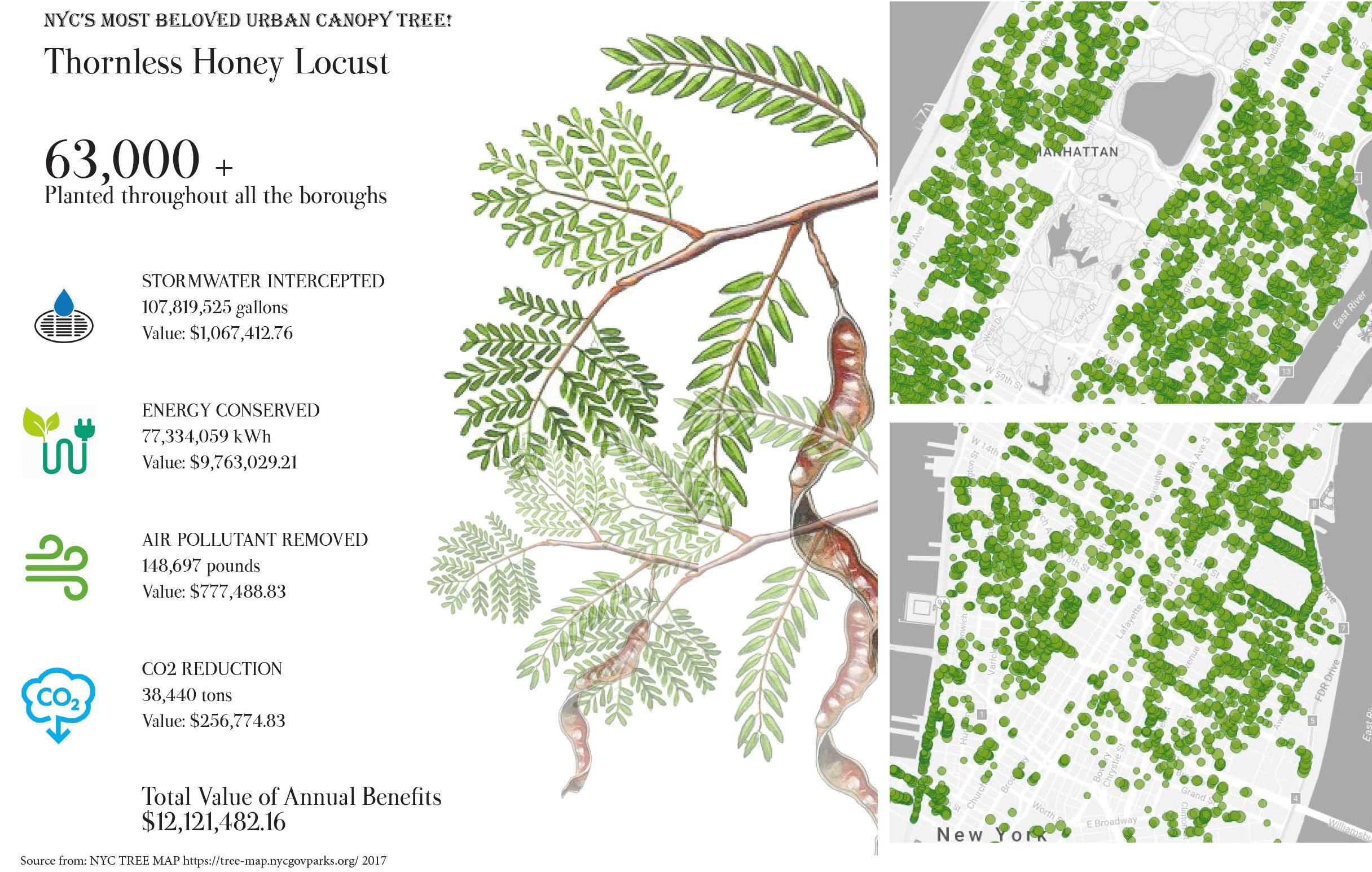 tree map-1.jpg