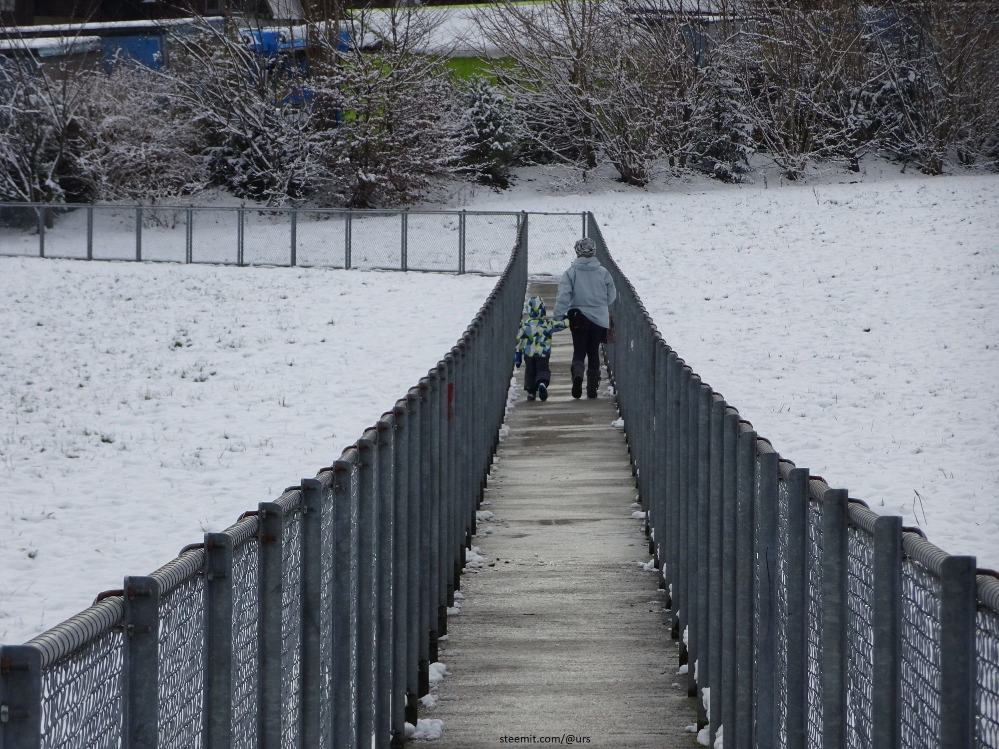 fresh snow.jpg