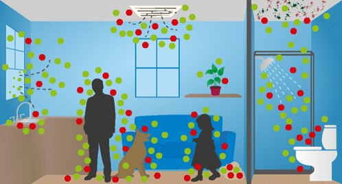 Airborne microbes: Where Do They Come From And How Dangerous Are They?
