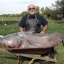 Monster Catfish!