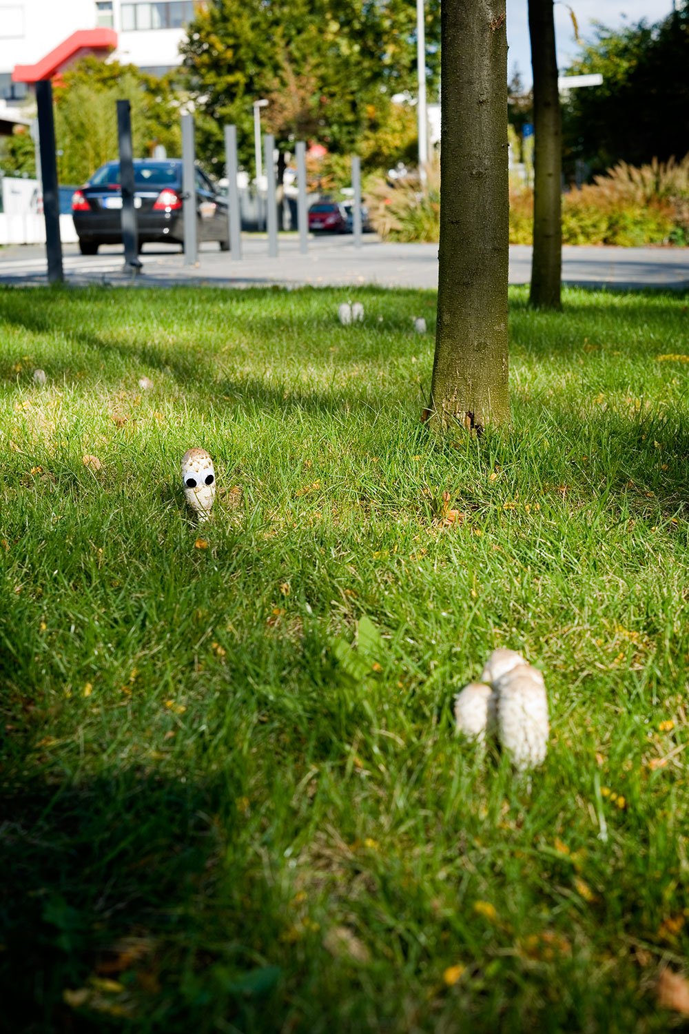 GooglyEyes Gordon Mushroomson Shot 3