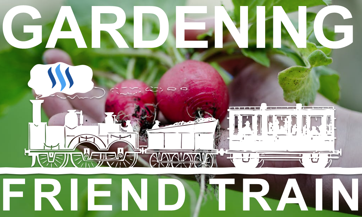 Friend-Train-Gardening.png