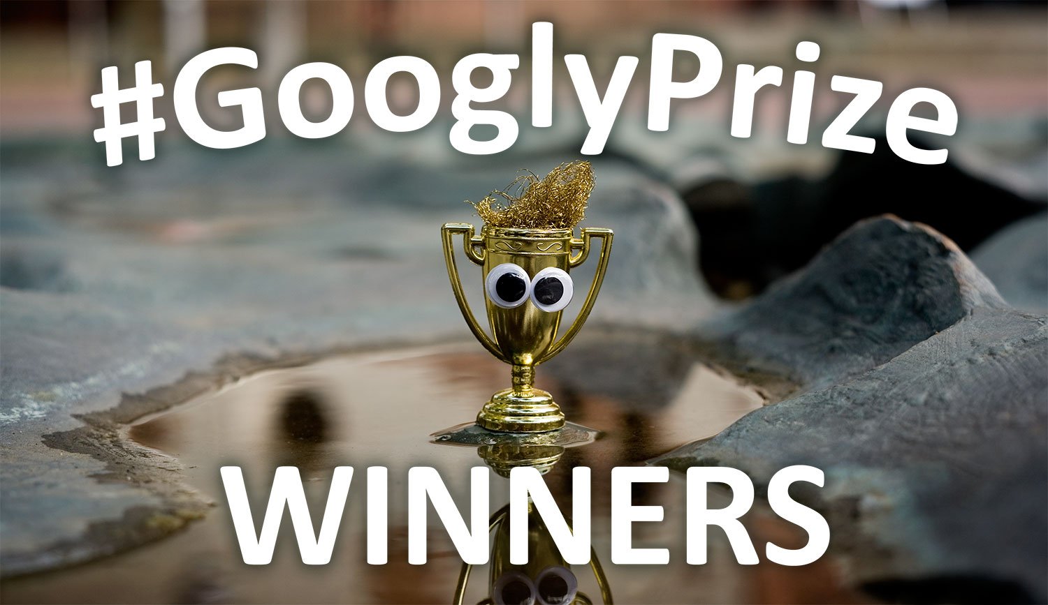 GooglzPriye Winners 10