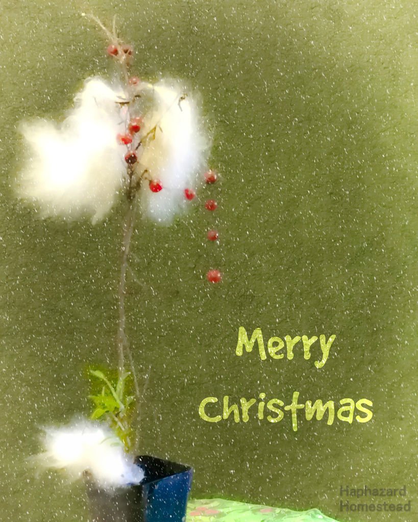 little tree merry christmas card.jpg