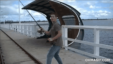 aXHXQtq.gif