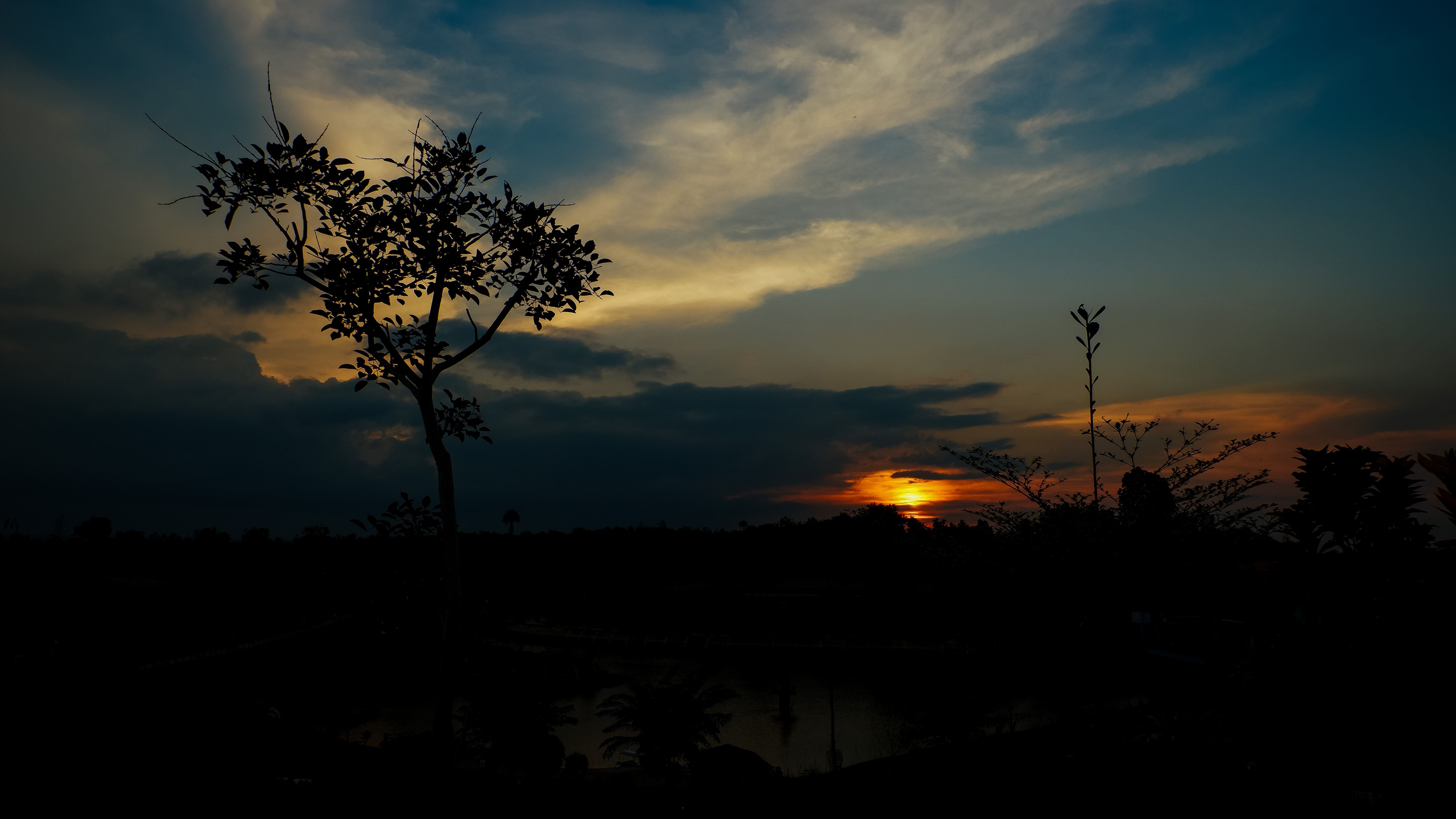 sunset3.jpg