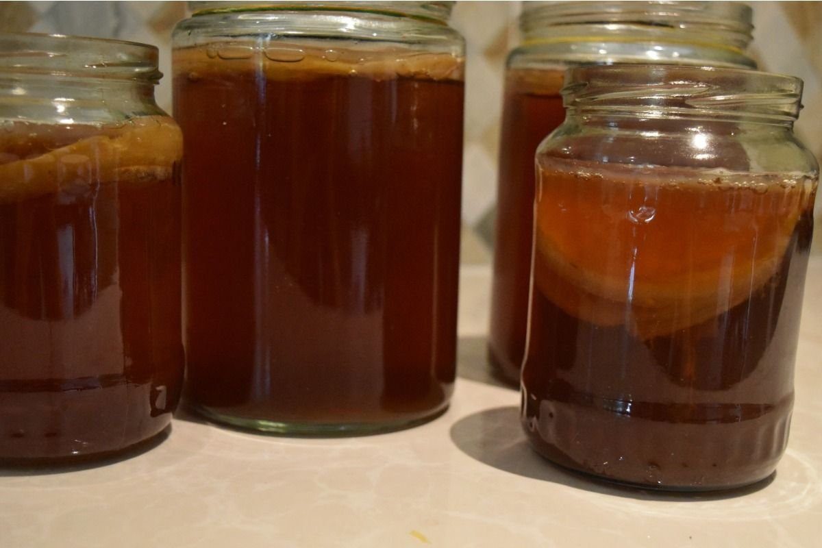 kombucha-tea-7.jpg