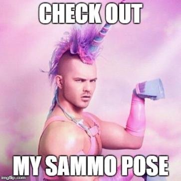 sammopose.jpg