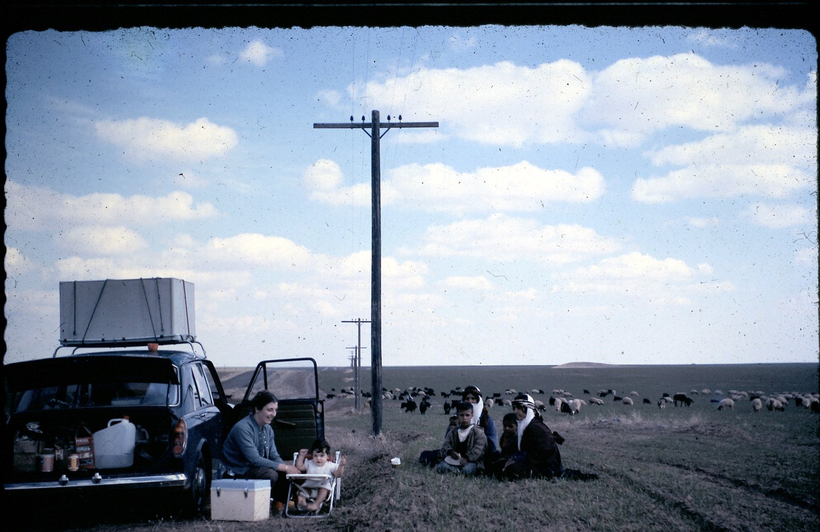 trip---picnic-with-shepherd.jpg