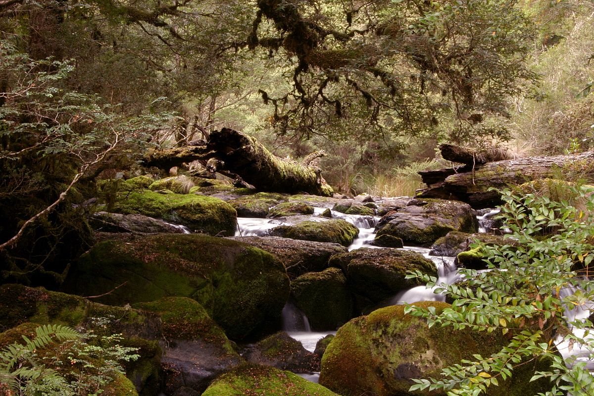 Wandle Falls 1.jpg