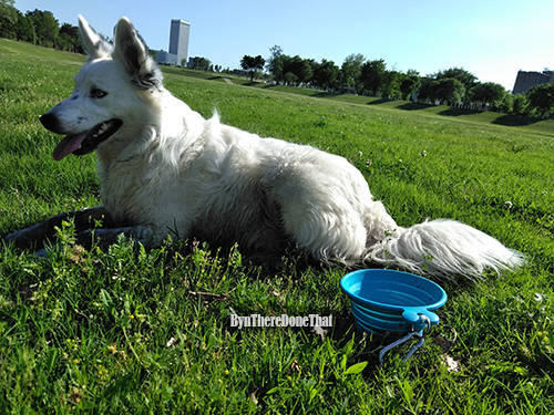 tiberius-waterbreak.png