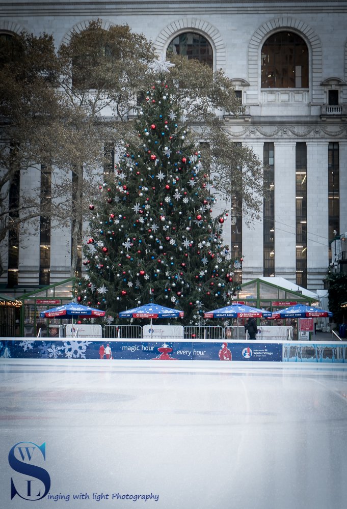 Bryant Park tree_.jpg