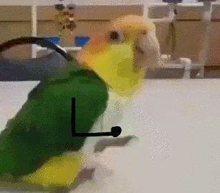 tumblr_o6dhr9r6De1udh5n8o1_400.gif