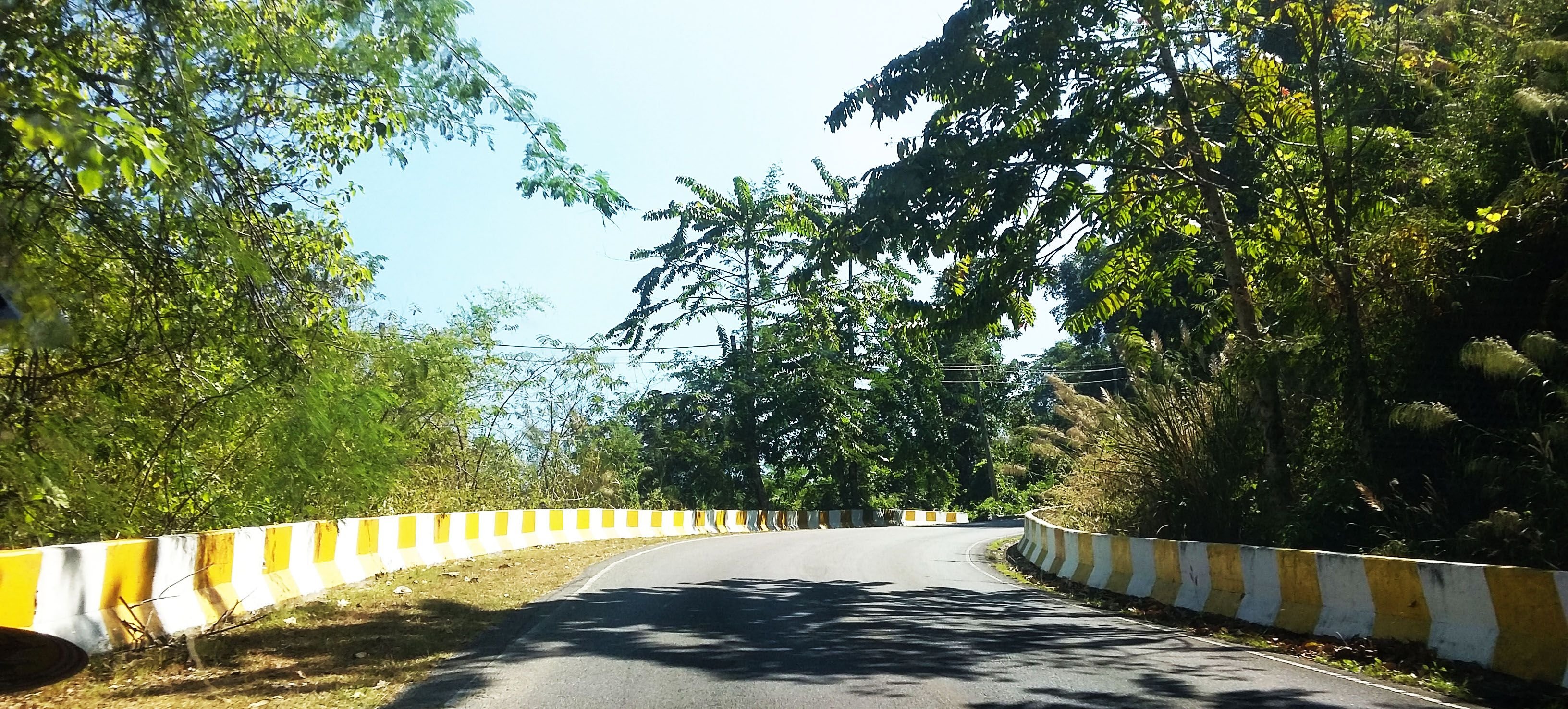 windy road.jpg