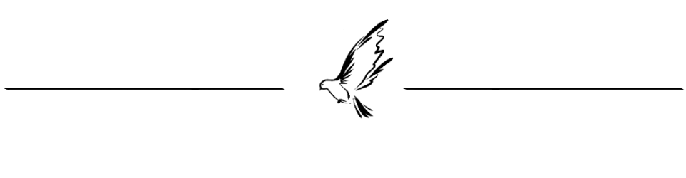 21BDA734-3613-4123-92FF-39C3A5A410BC.png